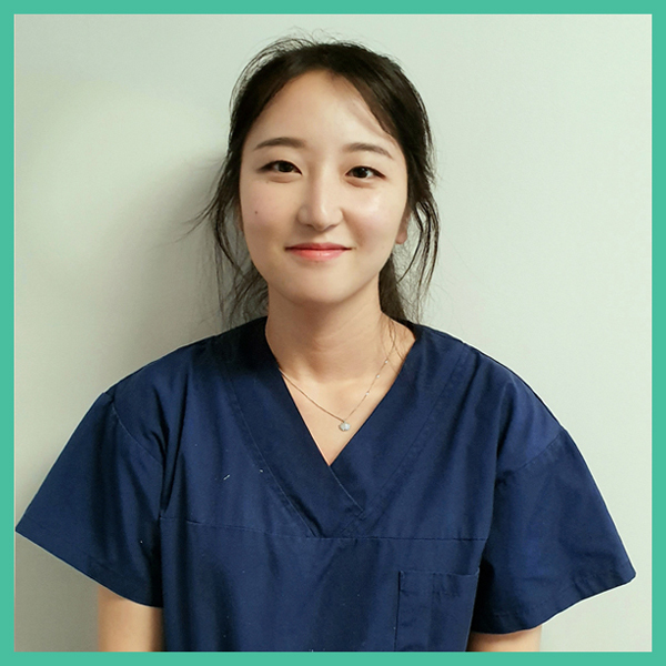 Dentists in Albany & Rosedale North Shore Dental Surgery